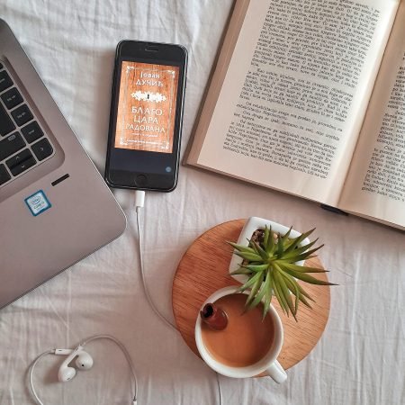 LUDOS FEROX Wired Earbuds in-Ear Headphones, 5 Year Warranty, Earphones with Microphone, Noise Isolation Corded for 3.5mm Jack Ear Buds for iPhone, Samsung, Computer, Laptop, Kids, School Students